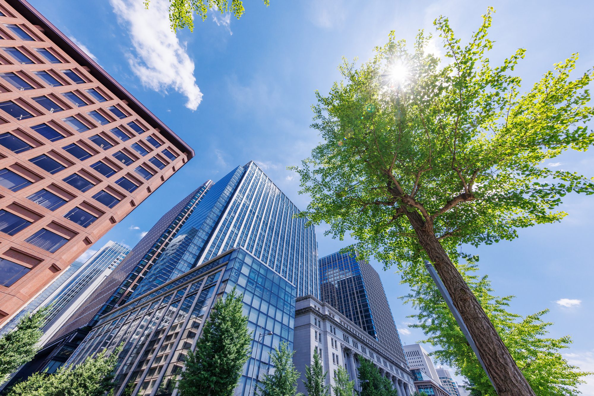 INTERCONTECH 事業紹介